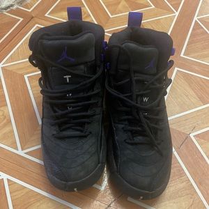 Jordan retro 12 dark concord